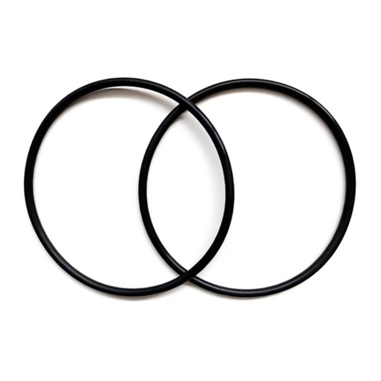 Zodiac TRi elektrode O-ring (pakke med 2) R0739000